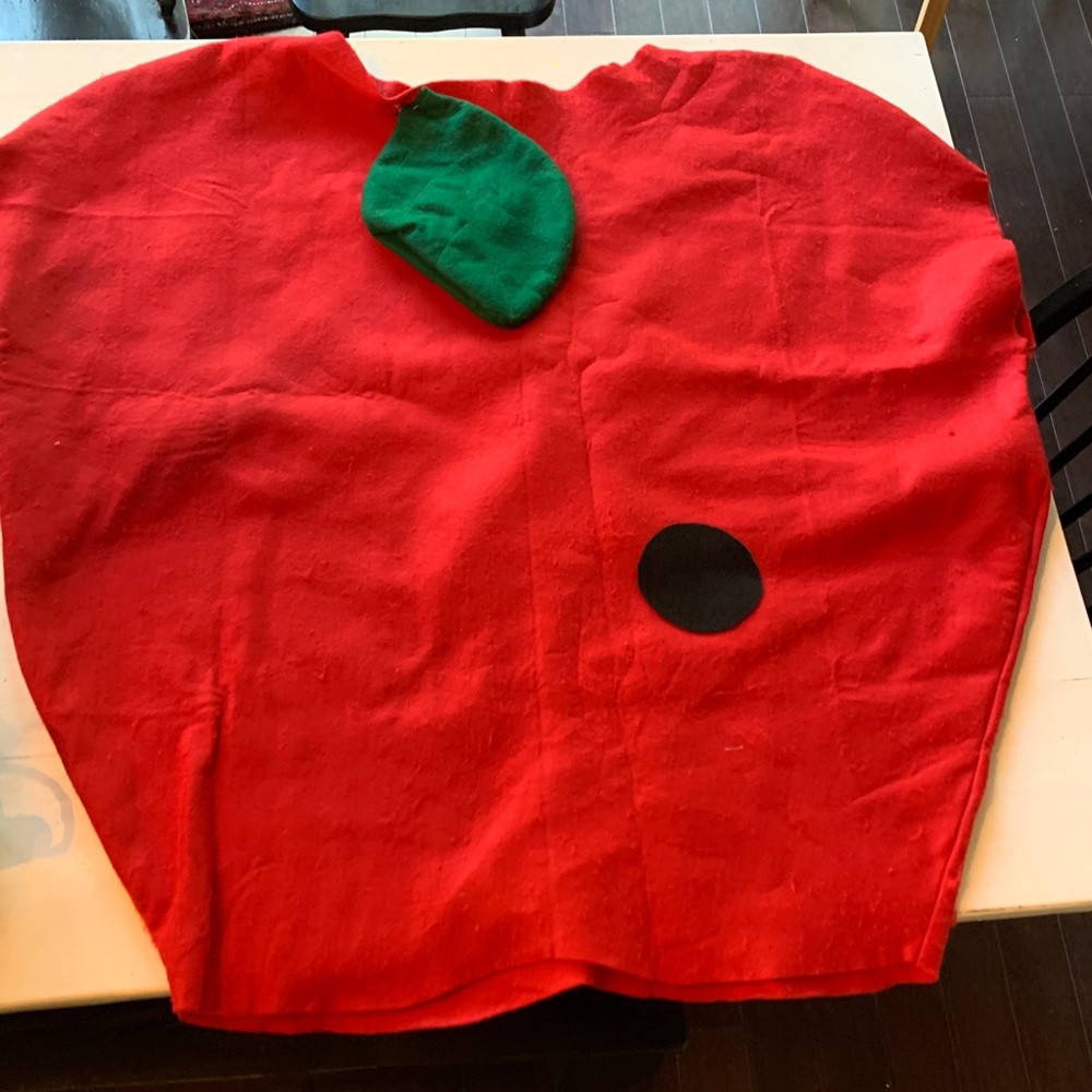 Adult apple costume